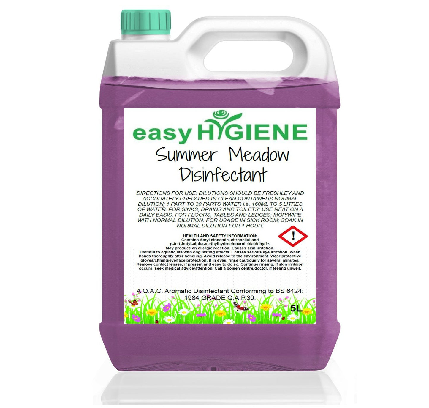 5 Litre easy HYGIENE 5L Disinfectants VARIOUS